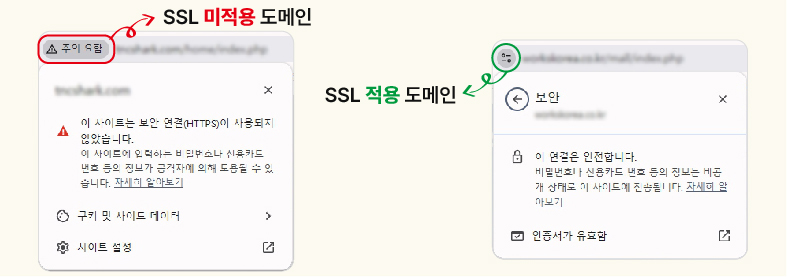 SSL-03.jpg
